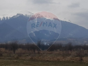 Teren 10,000mp Rasnov / Drumul Panicel - imagine 3