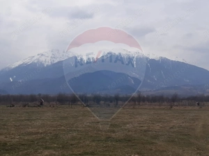 Teren 10,000mp Rasnov / Drumul Panicel - imagine 7