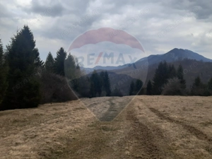 Teren Rasnov/ Soseaua Predealului DN73B - imagine 5