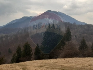 Teren Rasnov/ Soseaua Predealului DN73B