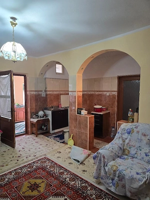 Vand casa plus anexa Tamaseu  SC-200 mp , teren 3040 mp , gaz , la sosea , aproape strand  