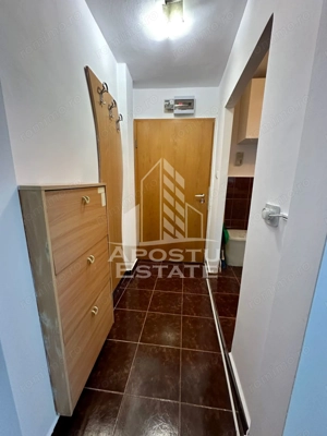 Apartament cu 2 camere, etaj intermediar, renovat, zona Sagului - imagine 8
