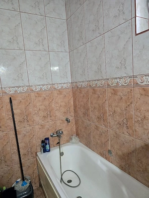 Vand casa plus anexa Tamaseu  SC-200 mp , teren 3040 mp , gaz , la sosea , aproape strand   - imagine 13