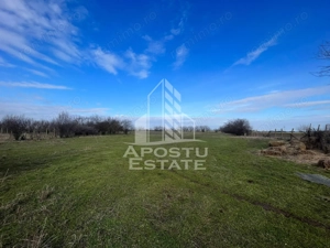 Parcele de teren pentru inchiriat, zona Gai - imagine 3