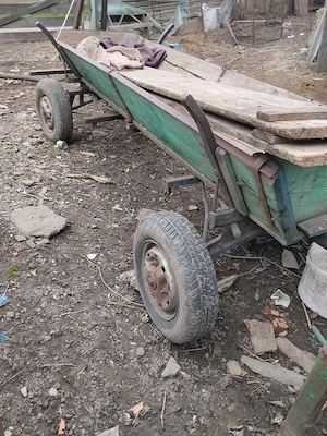 Faiton stare foarte bună 