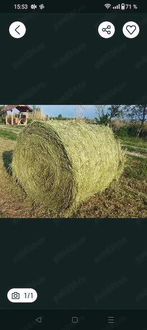 baloți rotunzi de fân 