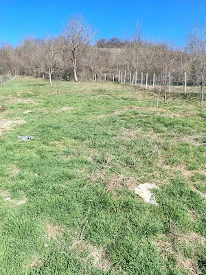 Casă de vânzare - imagine 2