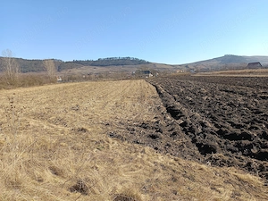 teren  agricol  in arenda BONTIDA