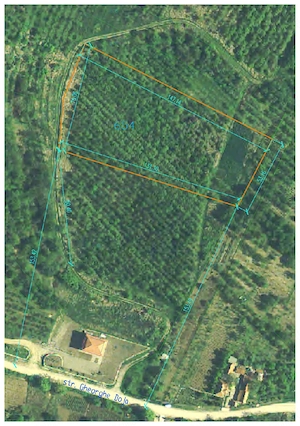 9100 mp Teren Intravilan, Săldăbagiu, com. Paleu, Bihor cu acces din str. Gheorghe Doja, Oradea | Id