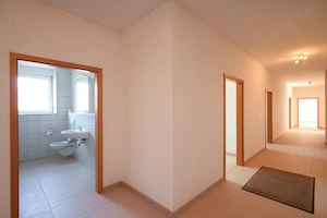 Complex Industrial si Rezidential De Lux   Viseu de Sus - imagine 8