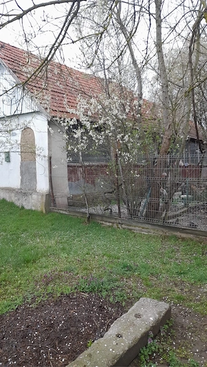 Vand teren cu casa nelocuibila - imagine 3