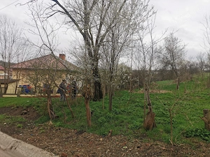 Teren intravilan de vanzare - imagine 4