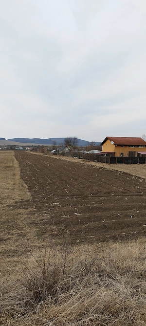 De vanzare teren intravilan in Podul Olt-Harman suprafata 5500 mp - imagine 2