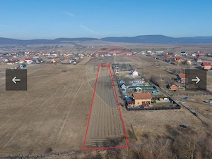 De vanzare teren intravilan in Podul Olt-Harman suprafata 5500 mp