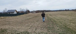De vanzare teren intravilan in Podul Olt-Harman suprafata 5500 mp - imagine 4