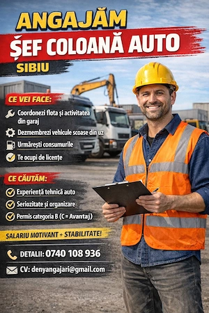 SC angajează Sef coloană auto - Sibiu