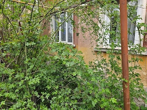 Apartament în casă cu 2 apartamente, curte comună și grădină, Calea Bogdăneștilor, comision 0% - imagine 14