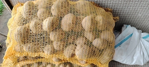 Vând cartofi consum și sămânță 