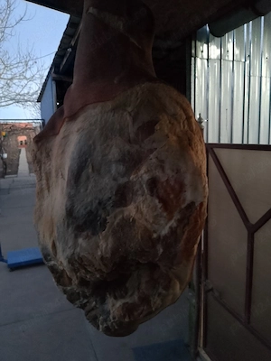 De vânzare șoancă 