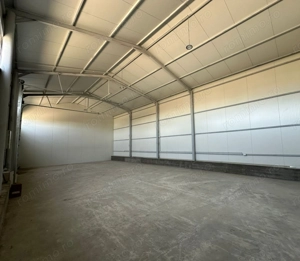 Zona industriala Hala Noua