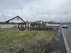 Teren 450 MP Bariera Valcii - imagine 3