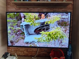 Vand TV SMART NEI 102 Cm ,Impecabil- 720 ron