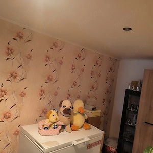 Vând casa Cataloi  - imagine 10