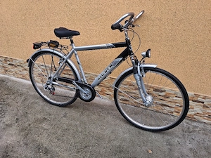 Bicicleta  alu rex