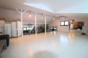 Vila cu deschidere la lac - Branesti - constructie 2016 - mobilata si utilata - imagine 19