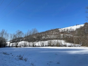 Vând teren 4200 mp ideal pt casa de vacanta  în Varciorog - imagine 4