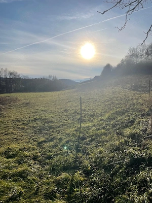 Vând teren 4200 mp ideal pt casa de vacanta  în Varciorog - imagine 5