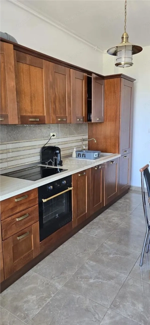 Fuperb Apartament Parcul Tabacariei , termen lung vedere parc si lac - imagine 2