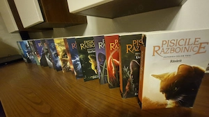 Seria de carti pisicile salbatice 