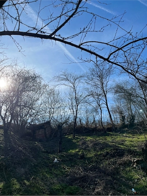 Teren de vanzare  - imagine 2