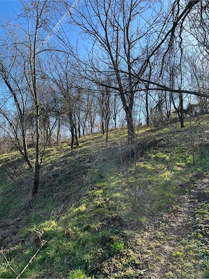 Teren de vanzare  - imagine 4