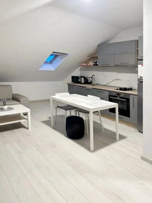 APARTAMENT CU 2 CAMERE ZONA SELGROS LA 360 euro - imagine 13