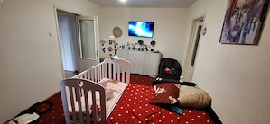 Apartament 2 camere, etaj 3, str. Cameliei nr.8 bl.41, sc. A  poziție excelentă, luminos - imagine 3