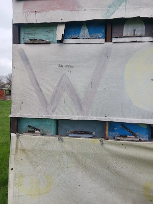 Vând 10 familii albine,  apte pentru cules.