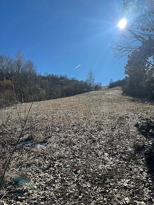 Vand teren extravilan Salciua Jud Alba - imagine 7