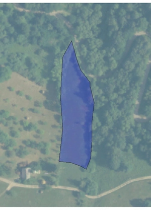 Vand teren extravilan Salciua Jud Alba - imagine 2