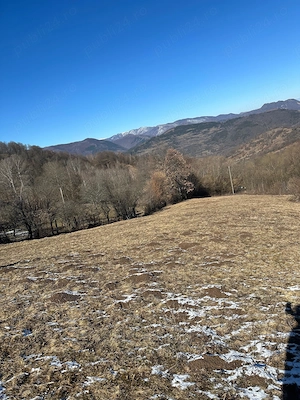 Vand teren extravilan Salciua Jud Alba - imagine 6