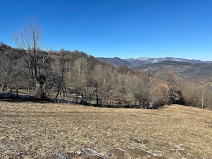 Vand teren extravilan Salciua Jud Alba - imagine 4