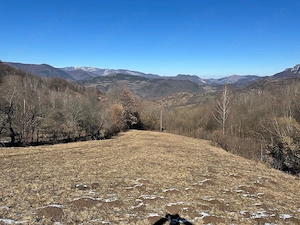 Vand teren extravilan Salciua Jud Alba - imagine 3