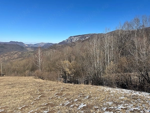 Vand teren extravilan Salciua Jud Alba - imagine 5