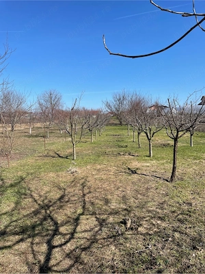 Casa+Teren 2500mp in Zona De Sud a Bucurestiului La Sosea - imagine 5