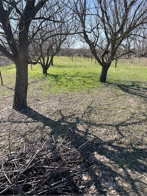 Vand teren 2500mp intravilan stradal in zona de sud a Bucurestiului - imagine 2