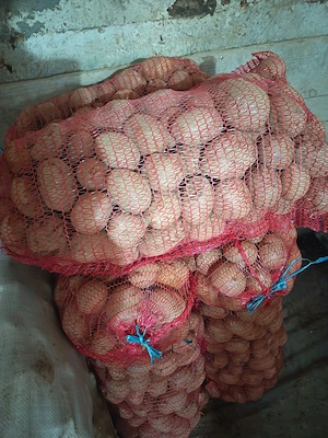 Cartofi pt consum recent ambalati albi stare foarte buna.  - imagine 3