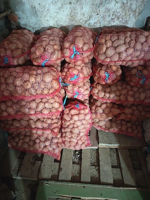 Cartofi pt consum recent ambalati albi stare foarte buna.  - imagine 2