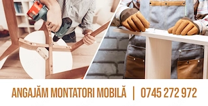 Angajăm montatori manipulanți mobilă 