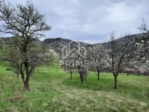 TEREN INTRAVILAN 13700 MP, INURI, VINTU DE JOS - imagine 2